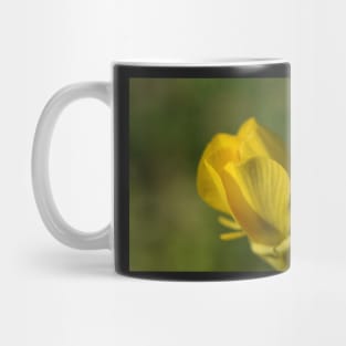 Buttercup 23 Mug